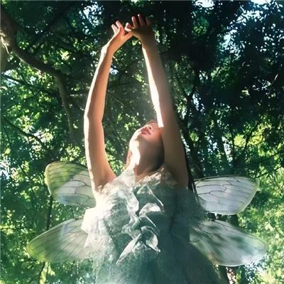 虎头要塞之最后决战